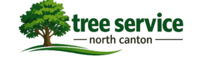 Tree Service North Canton